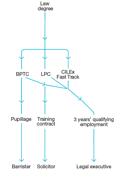 Career path | First-year law students | LawCareers.Net
